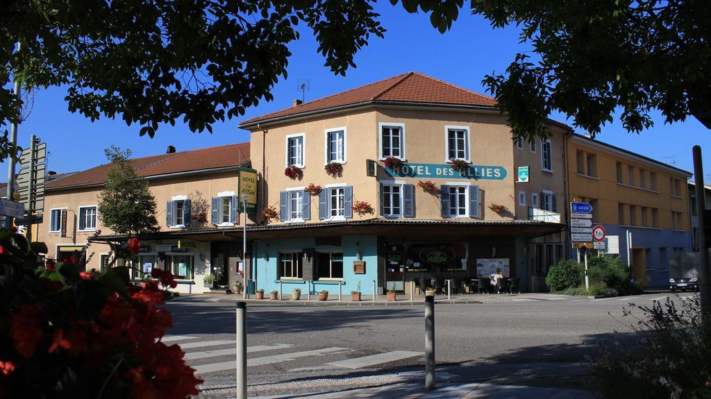 Hotel Des Allies Pont-dʼAin Εξωτερικό φωτογραφία